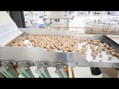 prime noci che sgusciano la linea di produzione in Cina