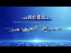 Pecan intelligenti che si fendono sgusciando la linea di produzione