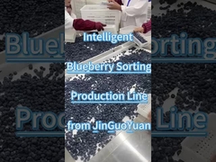 Linea di smistamento mirtilli di JGY