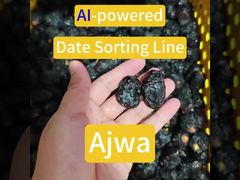 Smart Date Sorting Machine-Ajwa cassa di classificazione